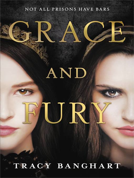 Cover image for Grace and Fury